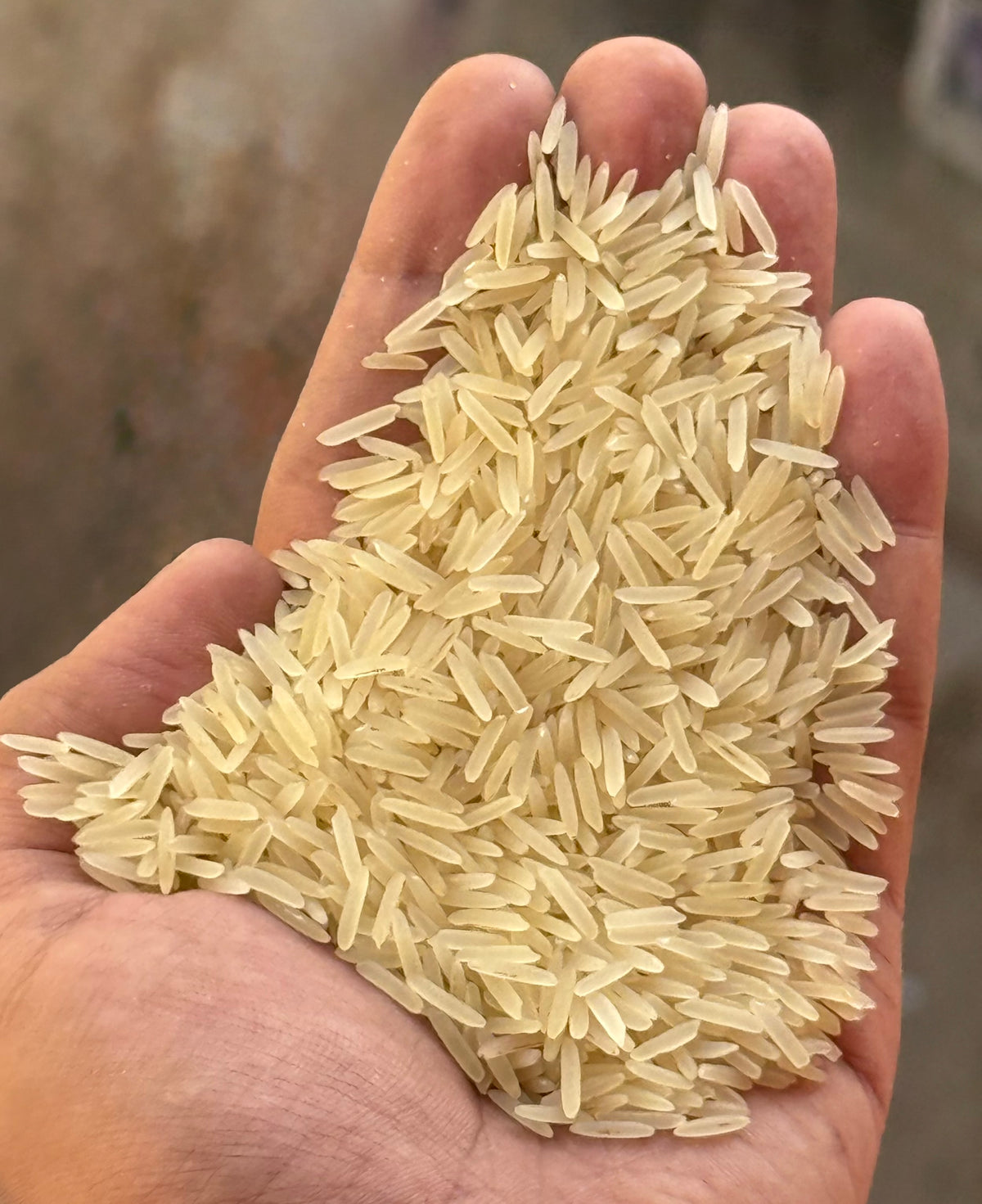 MUQADDAS RICE TRADDERS \ BIG ASIA KAINAT RICE 1121 SELLA XXL 25KG