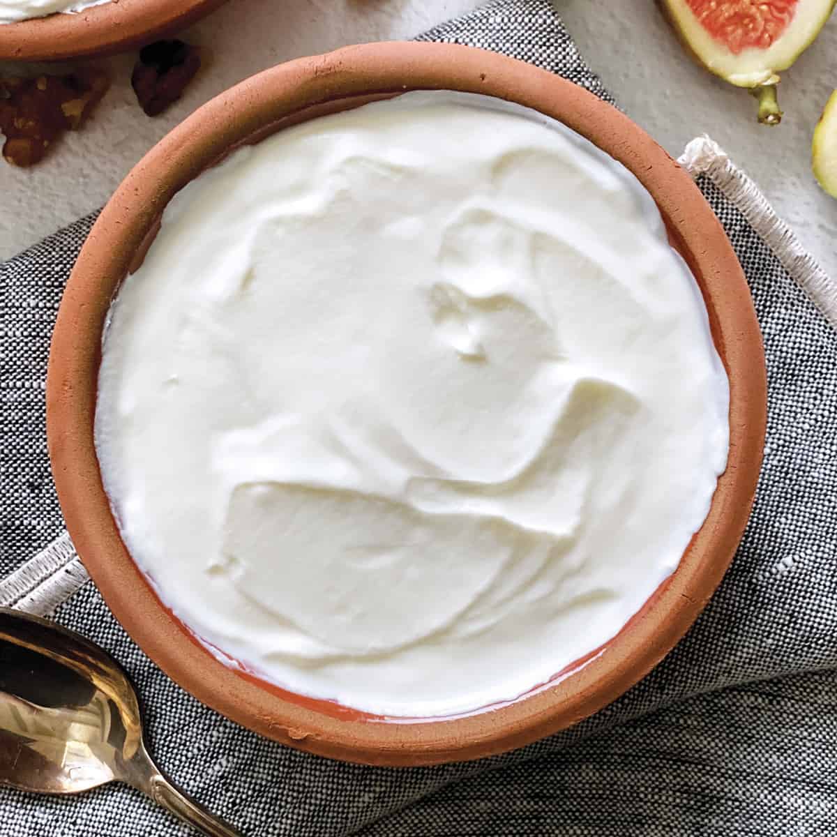Fresh Yogurt 500g