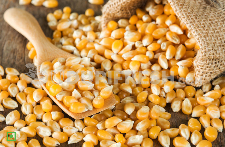 Pop Corn Bhutta | 500 g