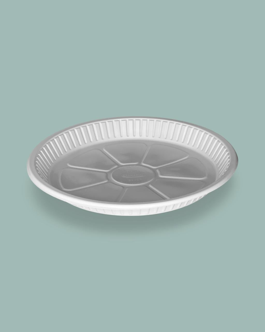 10 Inch Disposable Plastic Plate 20 Pieces
